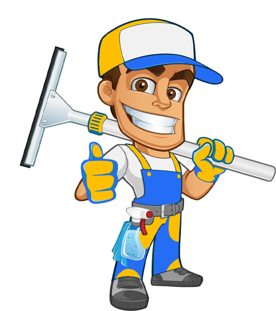 Professional soft washing